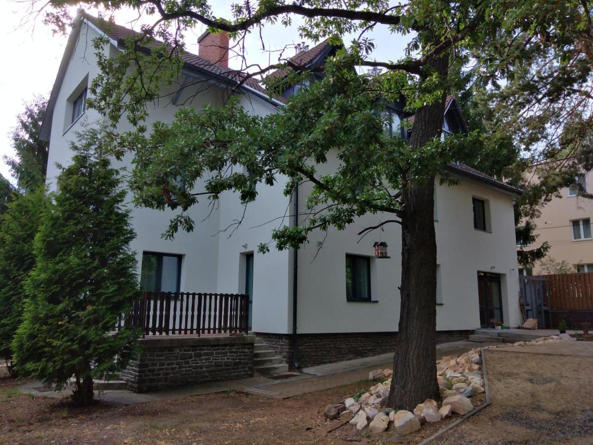 Bed and Breakfast Diana Panzió Mátrafüred Exterior foto