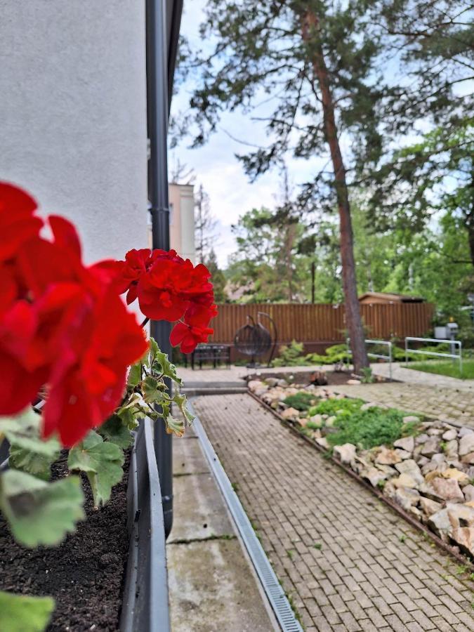 Bed and Breakfast Diana Panzió Mátrafüred Exterior foto